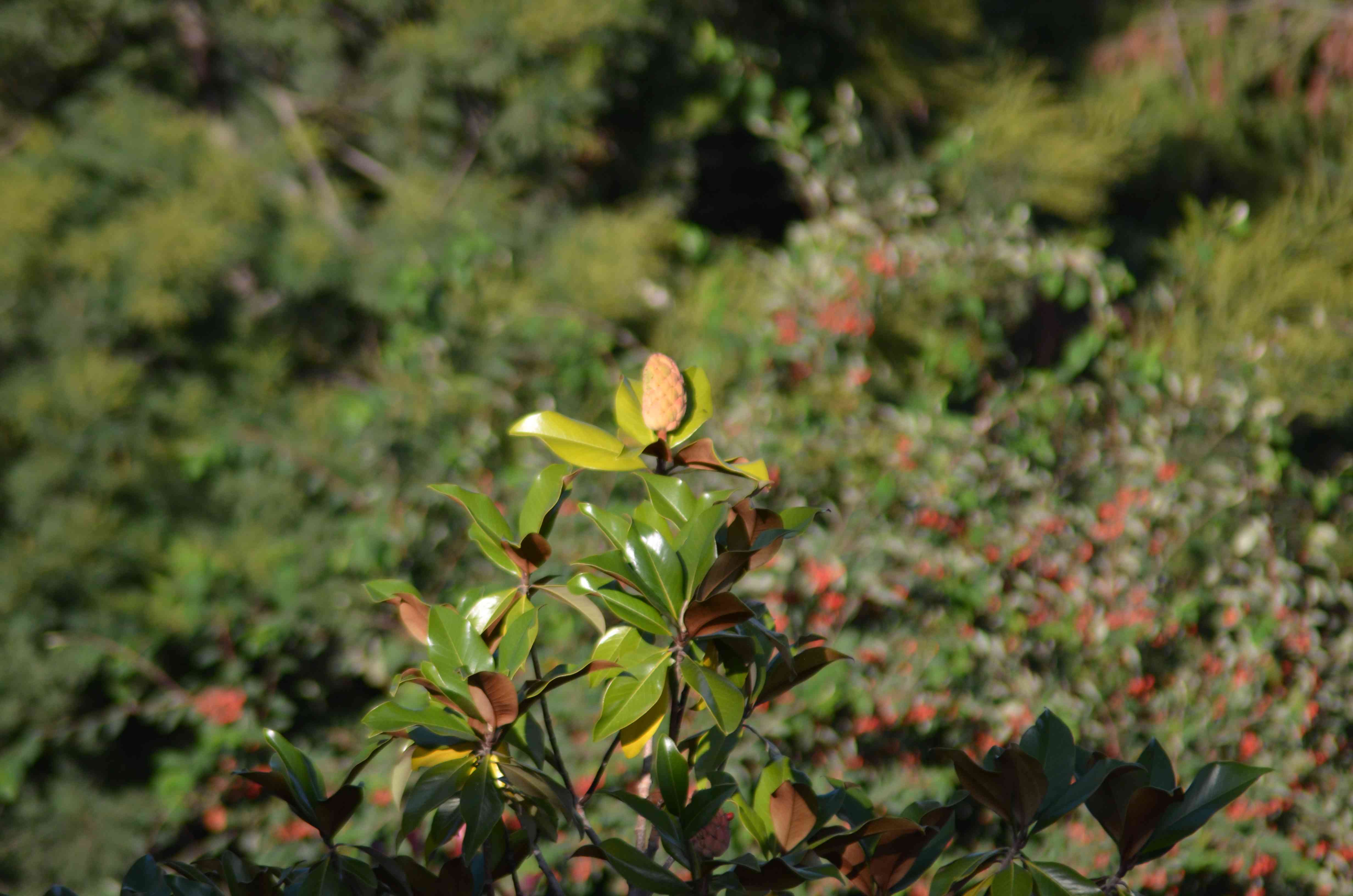 No s'ha trobat l'arxiu